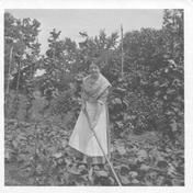 SA0060 - Alice Smith was from the Church Family. She is shown working in a vegetable garden. Identified on the reverse., Winterthur Shaker Photograph and Post Card Collection 1851 to 1921c